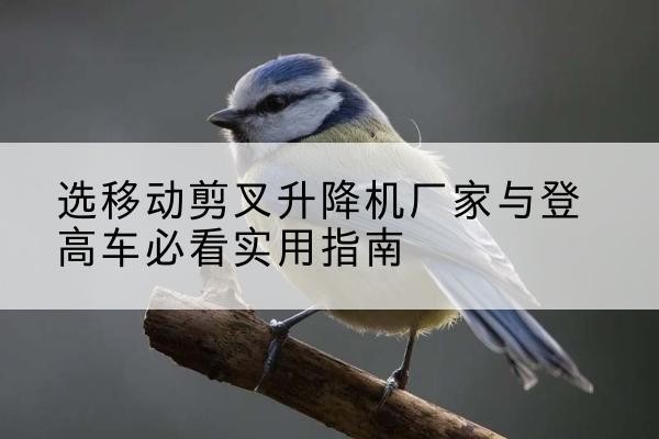 高明电动升降机厂家-选移动剪叉升降机厂家与登高车必看实用指南