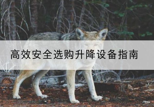 高明升降货梯厂家推荐-*安全选购升降设备指南